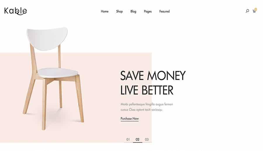 design-online-store-Wordpress