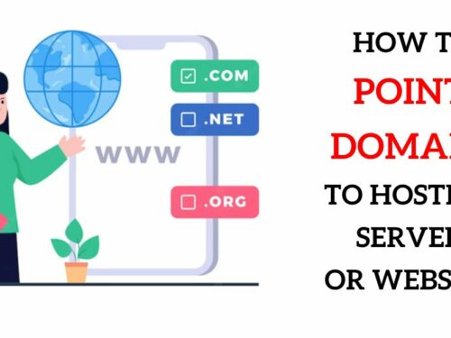 How to Point Domain to Host Server: Explained With InfoGraphics
